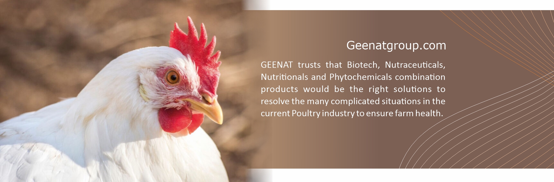 Geenat group